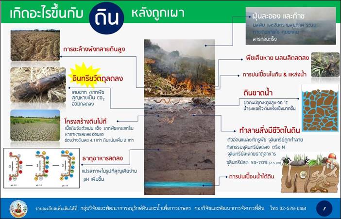 เกษตรกรยุคไม่ร่วมใจ หยุดเผา ใช้วิธีการไถกลบทดแทนการเผา