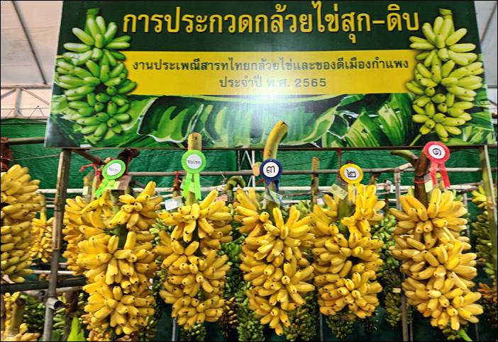 "อลังการ" พิธีเปิดงานประเพณี"สารทไทย-กล้วยไข่ และของดีเมืองกำแพงเพชร" ประจำปี2565 