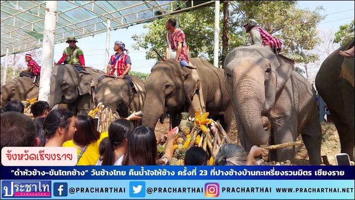 “ดำหัวช้าง-ขันโตกช้าง” วันช้างไทย คืนน้ำใจให้ช้าง ครั้งที่ 23 ที่ปางช้างบ้านกะเหรี่ยงรวมมิตร เชียงราย