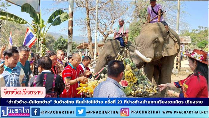 “ดำหัวช้าง-ขันโตกช้าง” วันช้างไทย คืนน้ำใจให้ช้าง ครั้งที่ 23 ที่ปางช้างบ้านกะเหรี่ยงรวมมิตร เชียงราย